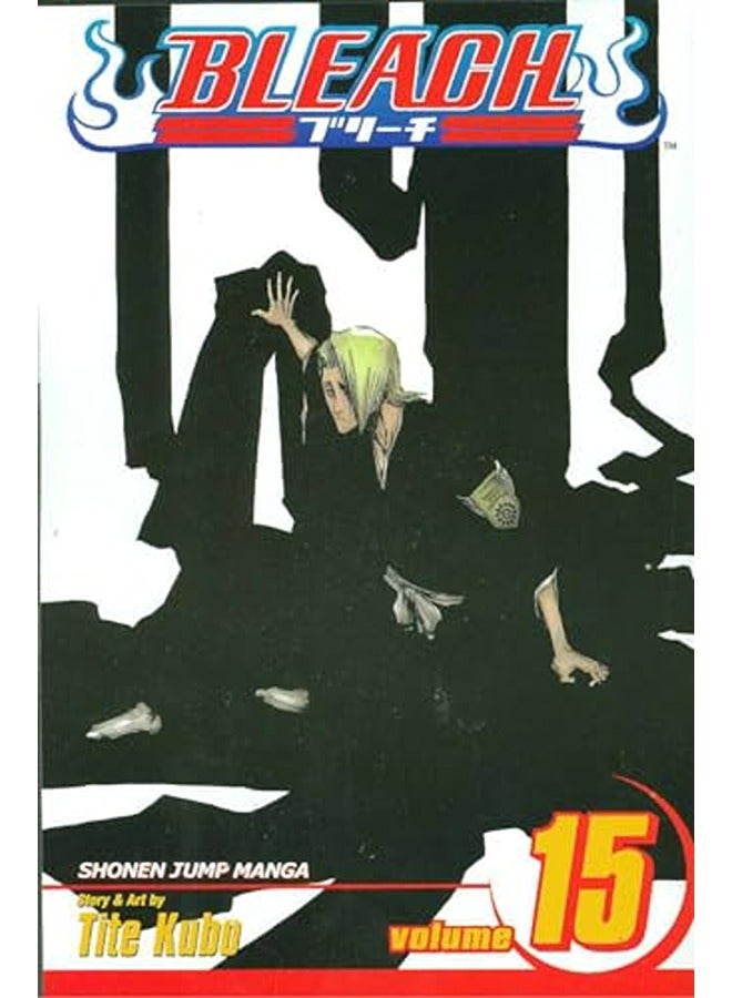 BLEACH V15