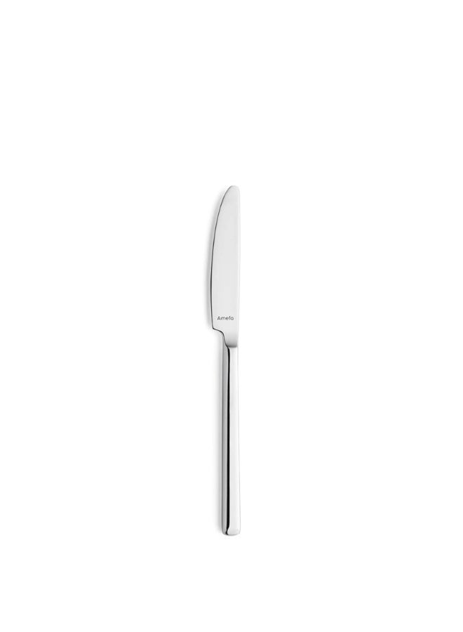 Amefa Metropole Dessert Knife 18/10 Stainless Steel Silver Premium Cutlery Set of 12 Pieces | Elegant European Design Dessert Knife for Home Dining, Restaurants & Hotels | Mirror Finish Polished Stainless Steel Knife | Balanced Weight Ergonomic Handle | Dishwasher Safe Durable Table Knife | Modern Classic Cutlery from Amefa Premiere Collection | High-Quality Dessert Knife for Cakes, Pastries & Daily Meals | Rust Resistant Long-Lasting Shine | Professional Dining Knife for Formal & Everyday Use | Precision Crafted Stainless Steel Dessert Knife 20.5cm Length - Image 1