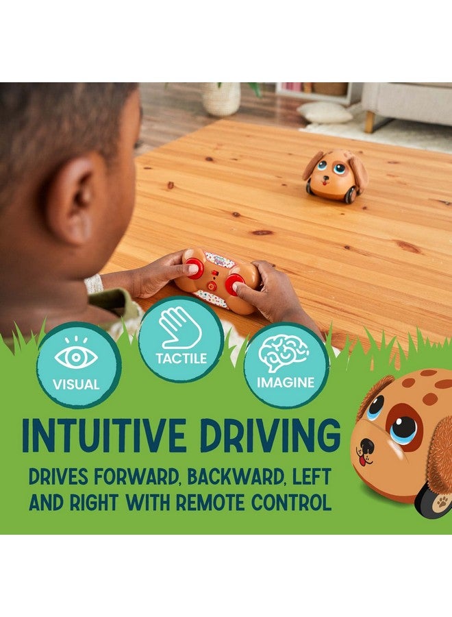 Flybar Poko Petz Remote Control Car For Toddlers Dog Toys 2.4Gh For Boys And Girls Light Up Toddler Toys Singing Talking Toys Preschool Toys Best Birthday Toddler Gifts For Ages 3 And Up - Image 4