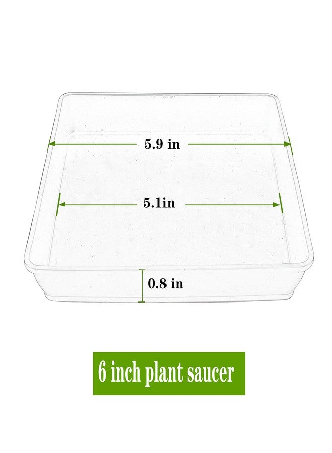 LWALRS 5Pack Plant Saucer Square 8inch - Image 2