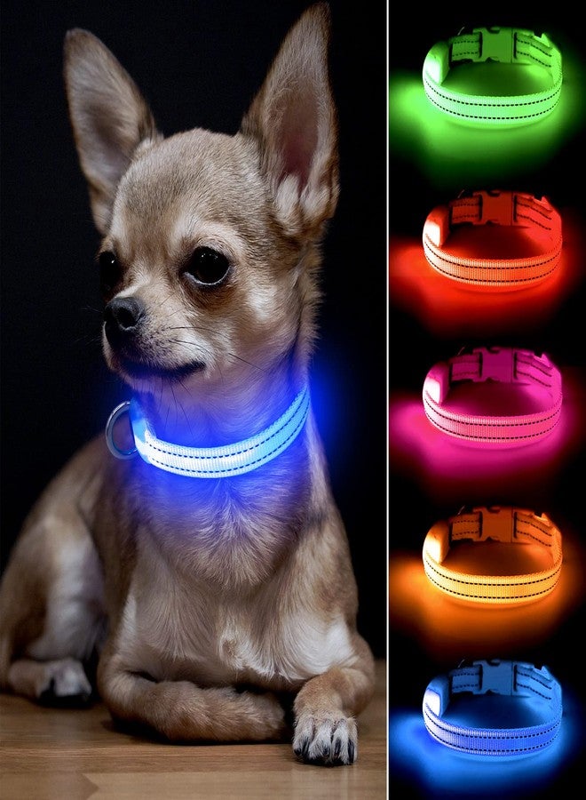 BSEEN Light Up Dog Collar - Reflective LED Dog Collar Rechargeable Glowing Cat Collars Adjustable Puppy Collar Safety Dog Lights for Night Walking (Blue, XS) - Image 1
