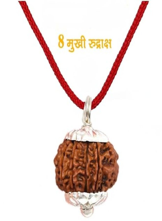 IRIS GEMS 8 Mukhi Rudraksha आठ मुकी ओरिगिनल नेपाल नेचुरल 8 मुkhी रुप्राक्ष 8 وجه رودراكشا مالا آث موخي رودراكشا للرجال والنساء ثمانية موخي رودراكش أصلي معتمد من نيبال أشتموخي رودراكش - Image 4