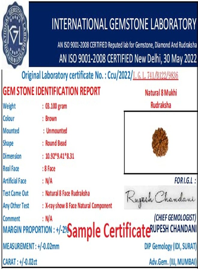 IRIS GEMS 8 Mukhi Rudraksha आठ मुकी ओरिगिनल नेपाल नेचुरल 8 मुkhी रुप्राक्ष 8 وجه رودراكشا مالا آث موخي رودراكشا للرجال والنساء ثمانية موخي رودراكش أصلي معتمد من نيبال أشتموخي رودراكش - Image 5