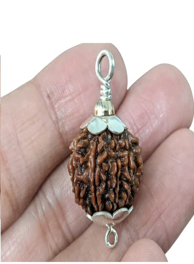 IRIS GEMS 8 Mukhi Rudraksha आठ मुकी ओरिगिनल नेपाल नेचुरल 8 मुkhी रुप्राक्ष 8 وجه رودراكشا مالا آث موخي رودراكشا للرجال والنساء ثمانية موخي رودراكش أصلي معتمد من نيبال أشتموخي رودراكش - Image 1