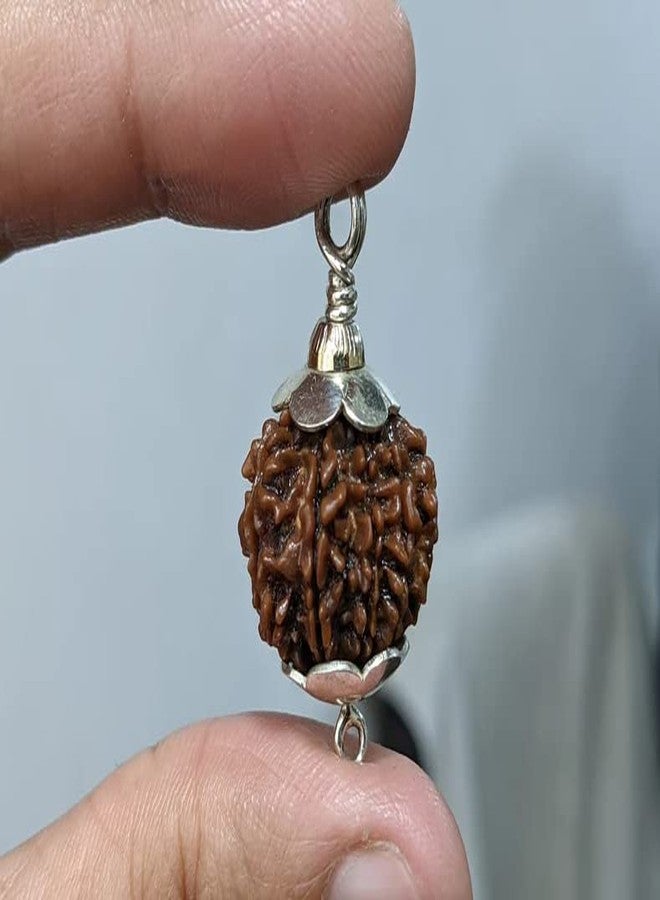 IRIS GEMS 8 Mukhi Rudraksha आठ मुकी ओरिगिनल नेपाल नेचुरल 8 मुkhी रुप्राक्ष 8 وجه رودراكشا مالا آث موخي رودراكشا للرجال والنساء ثمانية موخي رودراكش أصلي معتمد من نيبال أشتموخي رودراكش - Image 2