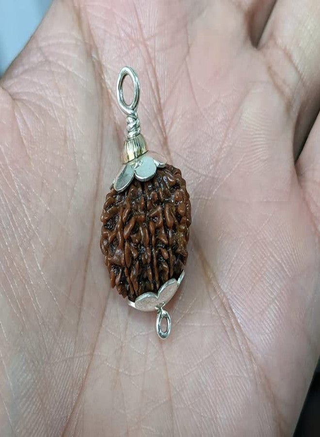IRIS GEMS 8 Mukhi Rudraksha आठ मुकी ओरिगिनल नेपाल नेचुरल 8 मुkhी रुप्राक्ष 8 وجه رودراكشا مالا آث موخي رودراكشا للرجال والنساء ثمانية موخي رودراكش أصلي معتمد من نيبال أشتموخي رودراكش - Image 3