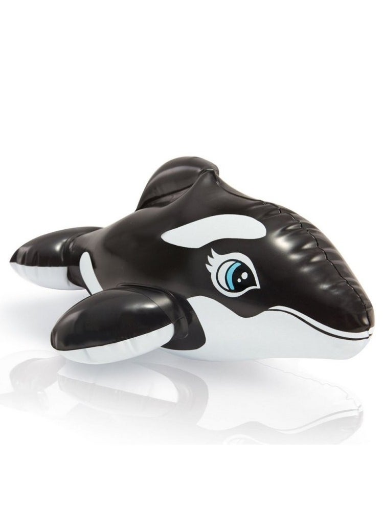 Generic - Play Water Toy - Image 1