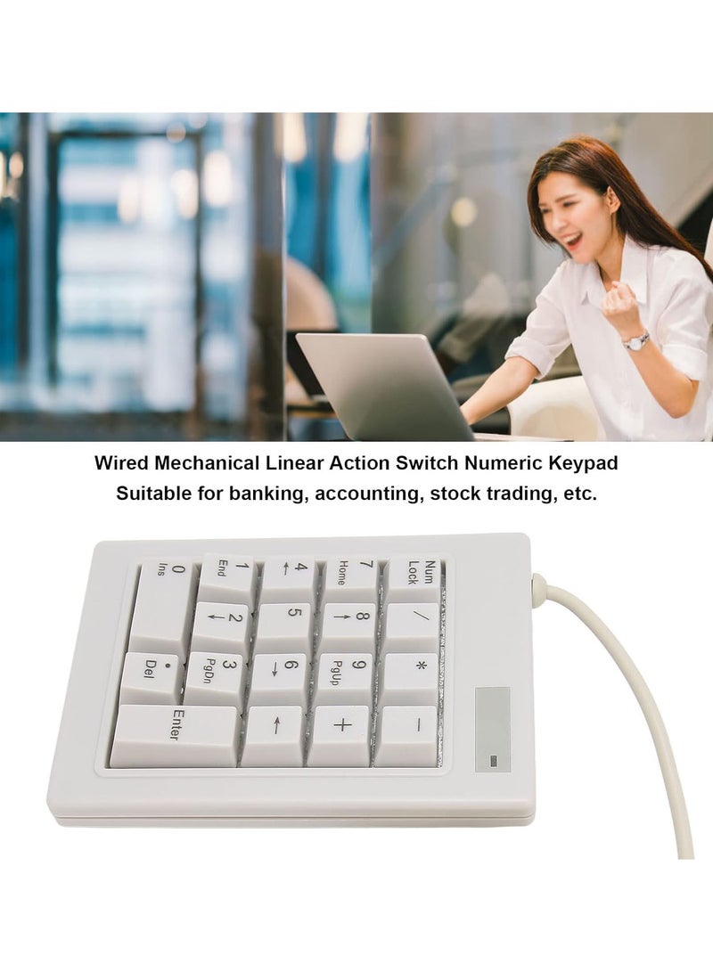 GGOOT 18 Keys Numeric Keypad, Portable Mini Numpad, USB Wired Multifunctional One Hand Mechanical Numpad Accounting Keypad Gaming Keyboard for Office Banking Accounting Finance Securities - Image 2