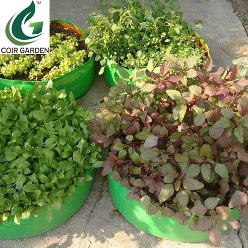 COIR GARDEN كيس زراعة من البلاستيك عالي الكثافة (معدني، 18x6 بوصة) - علبة من 2 - Image 5