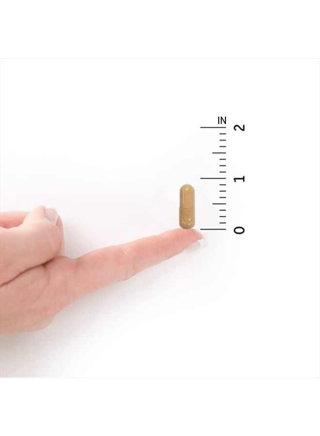 Garden of Life Raw Probiotics for Women and Men Ultimate Care 100 Billion CFU Shelf Stable Non Refrigerated Probiotic Supplement for Adults, Clinically Studied Strains, Digestive Enzymes, 30 Capsules - Image 4