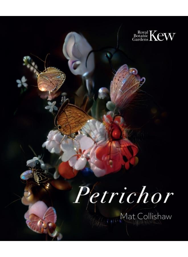 Petrichor 