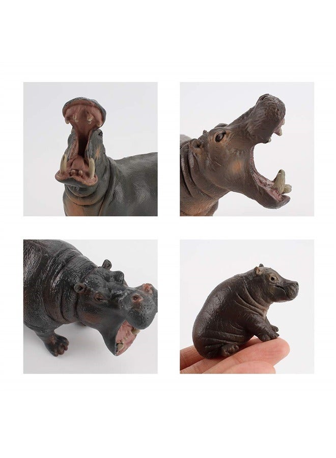 Simulation Wild Life Animal Figures Model Hippo Family Playset Desktop Decoration Education Cognitive Toy  (5 pcs)  - Image 3