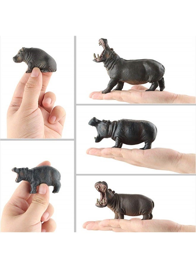 Simulation Wild Life Animal Figures Model Hippo Family Playset Desktop Decoration Education Cognitive Toy  (5 pcs)  - Image 4
