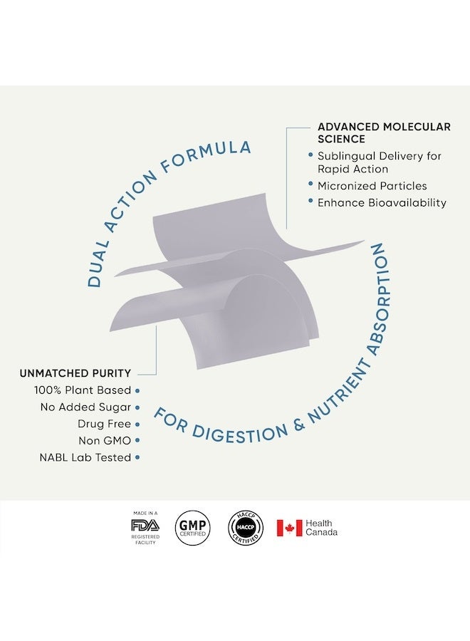 WELLBEING NUTRITION Melts Healthy Gut | 10B CFU Probiotics, Digestive Enzymes, FOS | For Indigestion, Gas, Acidity and Bloating, Gut Health, 30 Oral Strips - Image 4