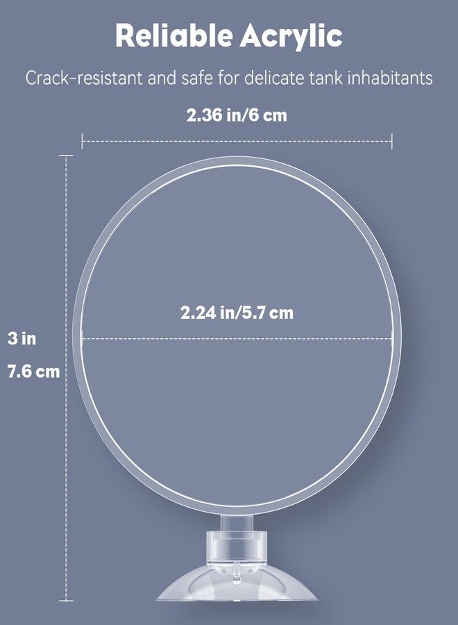 باوفلي طبق تغذية روبيان باوفلاي مع كوب شفط، طبق تغذية روبيان أكريليك شفاف لأحواض السمك، صينية تغذية أسماك لأحواض المياه العذبة والمالحة - Image 4