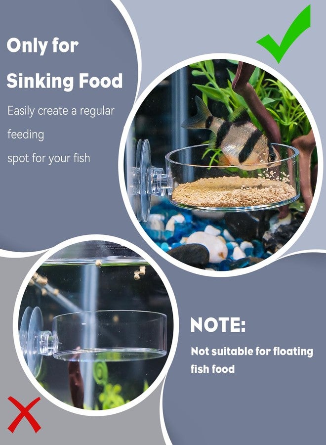 باوفلي طبق تغذية روبيان باوفلاي مع كوب شفط، طبق تغذية روبيان أكريليك شفاف لأحواض السمك، صينية تغذية أسماك لأحواض المياه العذبة والمالحة - Image 3