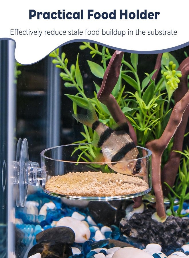 باوفلي طبق تغذية روبيان باوفلاي مع كوب شفط، طبق تغذية روبيان أكريليك شفاف لأحواض السمك، صينية تغذية أسماك لأحواض المياه العذبة والمالحة - Image 2