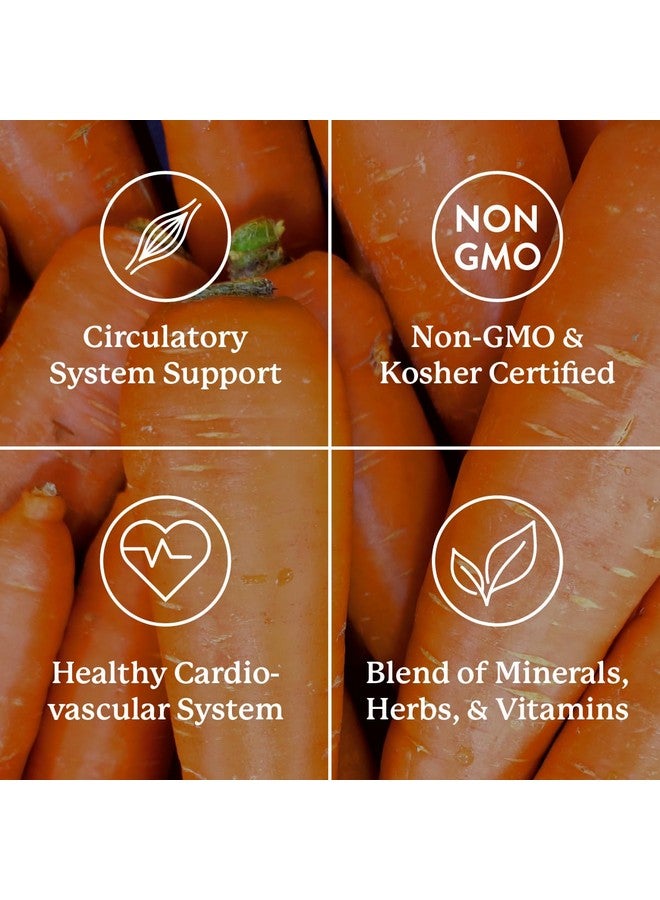 Nature's Sunshine Mega-Chel, 120 Tablets, Complete Vitamin with Powerful Antioxidants, Herbs, Vitamins, Minerals, and Amino Acids That Support The Circulatory System - Image 4