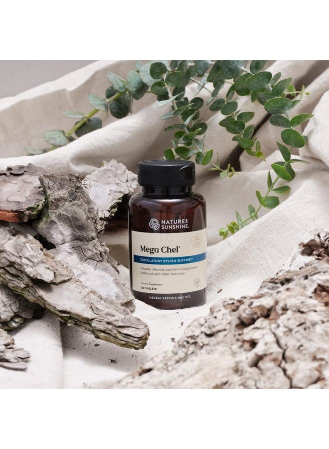 Nature's Sunshine Mega-Chel, 120 Tablets, Complete Vitamin with Powerful Antioxidants, Herbs, Vitamins, Minerals, and Amino Acids That Support The Circulatory System - Image 1