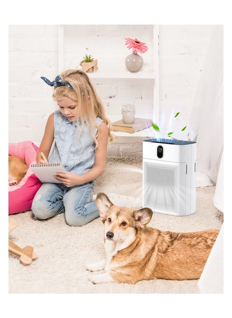 ibsun - Air Filter H13 Ture HEPA Filter Suitable HY4866 Air Purifier for Dust, Pet Dander, Pollen for Bedroom and Office, Standard Version, 2 Pack - Image 1