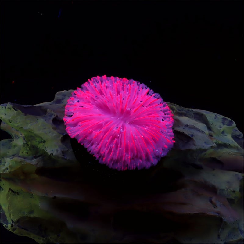 1 Piece Fish Tank Decoration Aquarium Aquatic Miniature Coral Reef Pink Fluorescent Ornaments Landscaping - Image 4