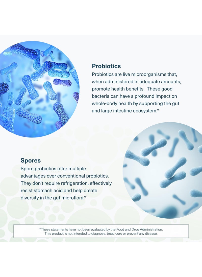 youtheory - Spore Probiotic Powder - 6 Billion CFU + Prebiotics, Net Wt. 3.45 oz (97g) - Dietary Supplement - Image 1