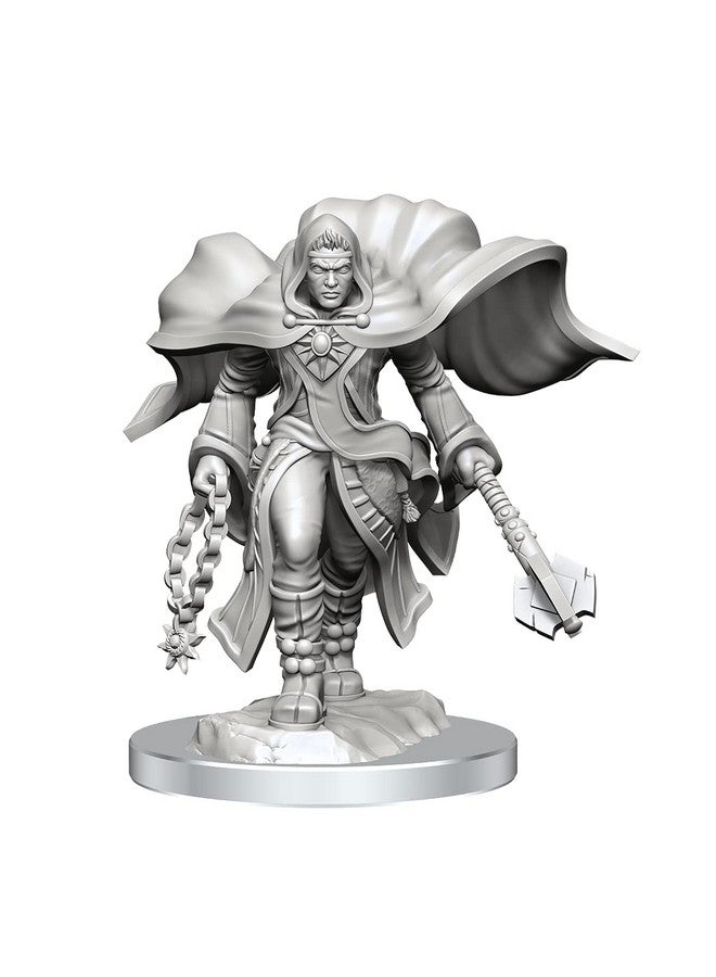 WizKids D&D Nolzur's Marvelous Miniatures: Aasimar Cleric Male - Image 1
