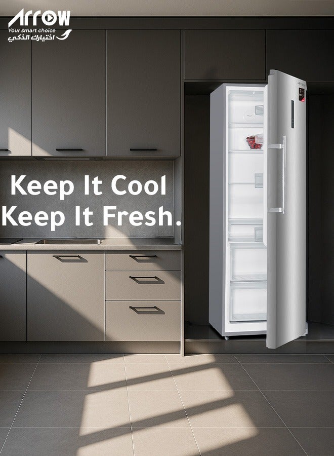 ارو ثلاجة باب واحد سعة 352 لترًا، 12.43 قدم مكعب,  نوفروست, لون فضي,  موفرة للطاقة, تبريد صحي,  اضاءة داخلية - Image 2