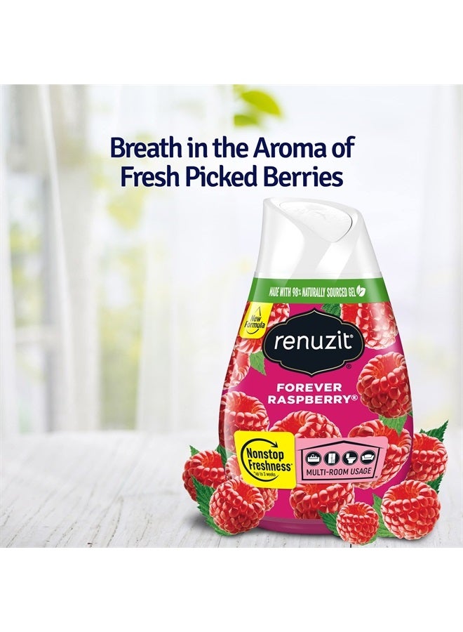 renuzit معطر هواء هلامي صلب قابل للتعديل، توت العليق الأبدي، انتعاش مستمر، 7 أونصات، 1 مخروط