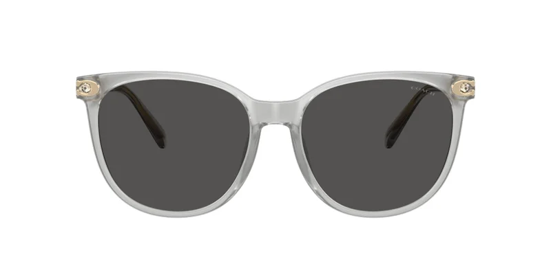 COACH COACH Women's Sunglasses
