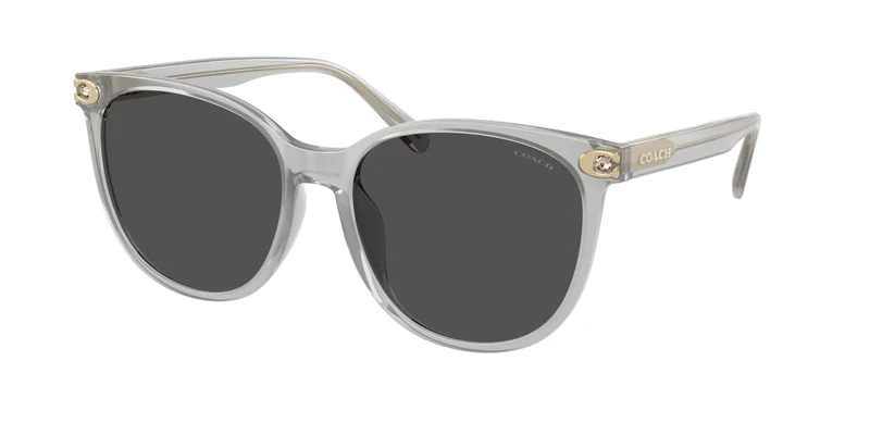 COACH COACH Women's Sunglasses