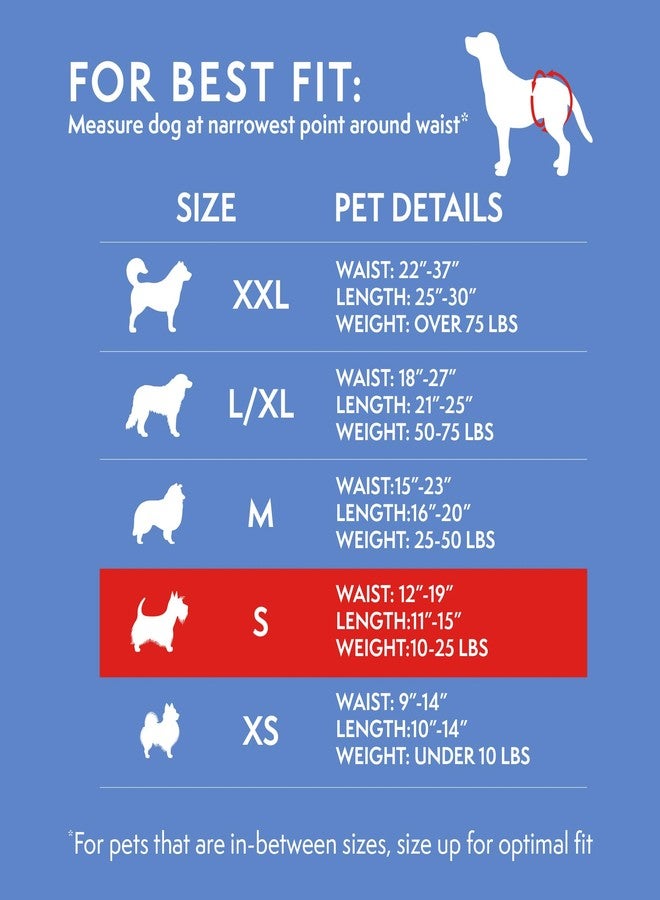 Simple Solution Female Dog Diapers - Disposable Diapers for Potty Training, Incontinence, and Heat Cycle Protection - Leak-Proof Fit for Small Dogs, 12-19 Inch Waist - 30 Count - Image 4