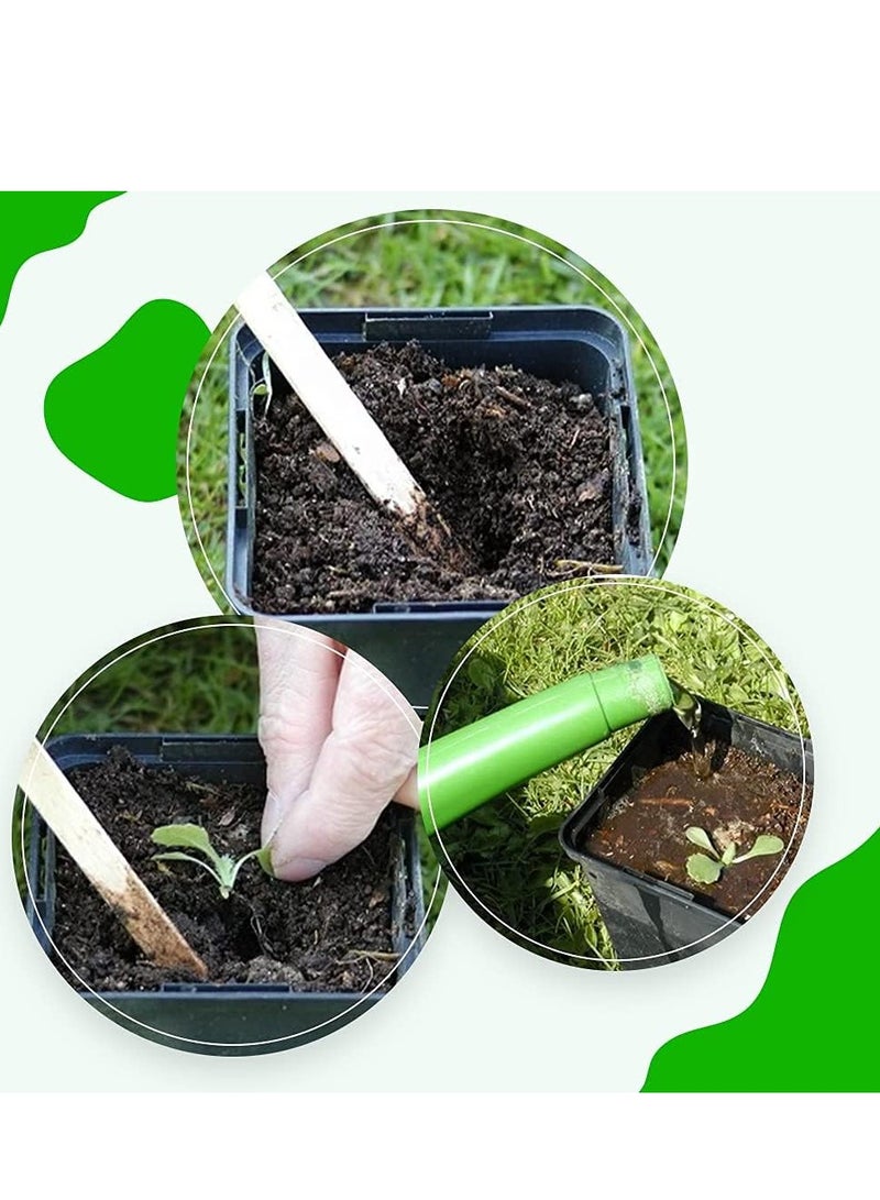 vsell24 3-Pack Organic Cucumber Seeds (10g Each) - Non-GMO, Grow Fresh Cucumbers at Home with High Purity & Germination Rate - Image 3