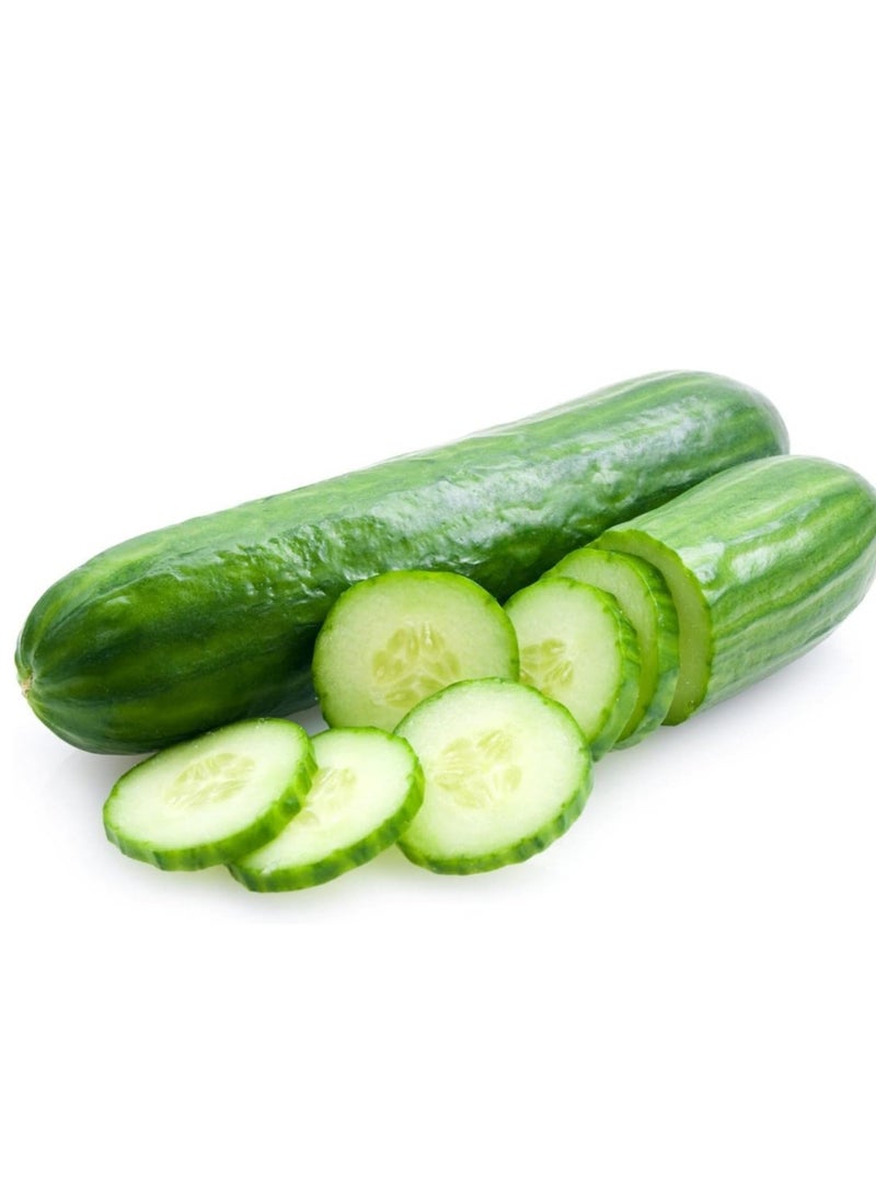 vsell24 3-Pack Organic Cucumber Seeds (10g Each) - Non-GMO, Grow Fresh Cucumbers at Home with High Purity & Germination Rate - Image 4