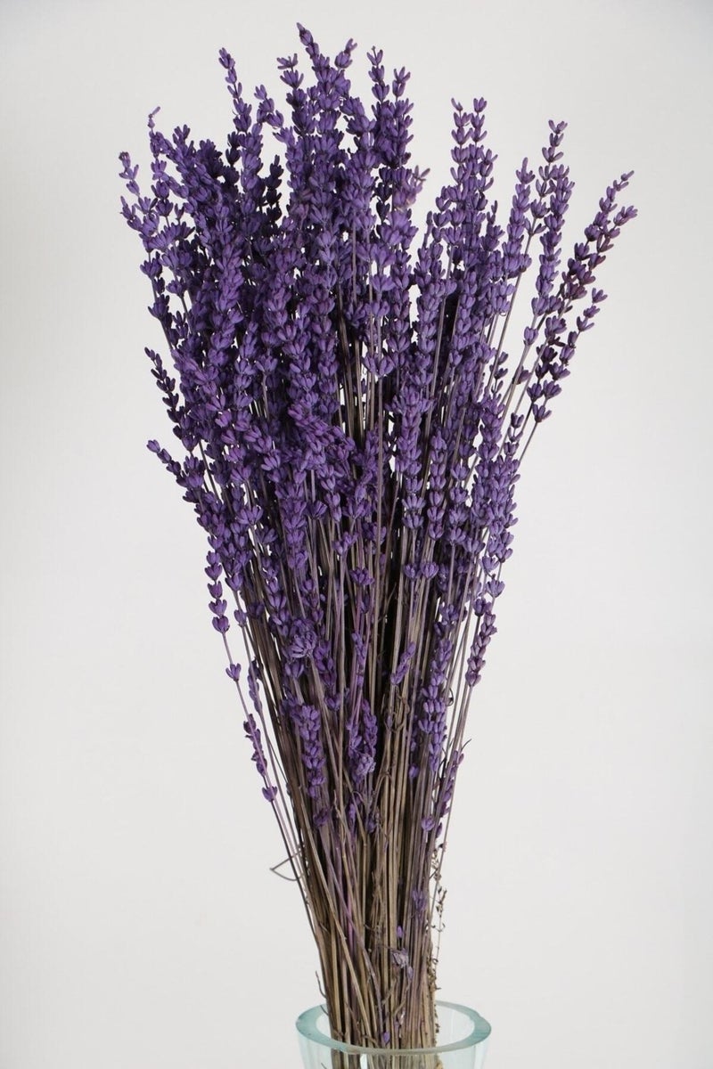 Lady's Workshop Shock-Proof Spill-Proof Real Lavender Bunch Purple (100 Gr)