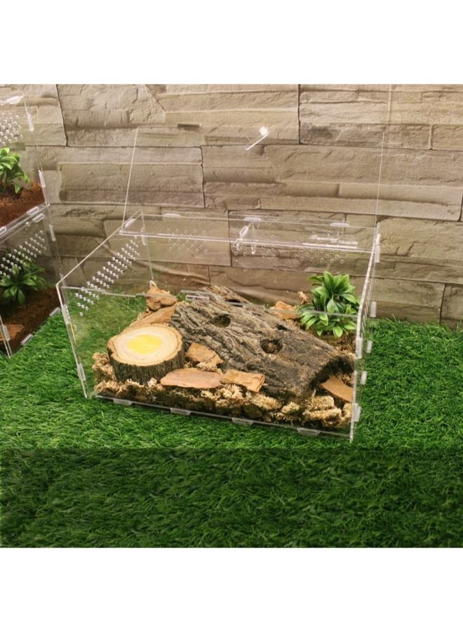 صندوق تربية الخنفساء الحية للبالغين صندوق الحيوانات الأليفة من الأكريليك العنكبوت أبو بريص الأيل المناظر الطبيعية الزحف BK - Image 3