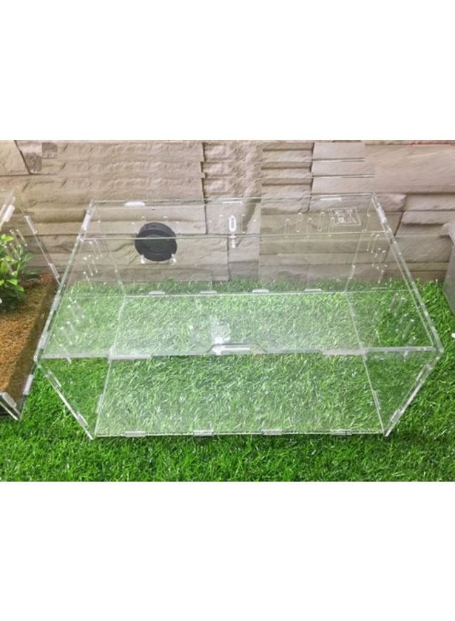 صندوق تربية الخنفساء الحية للبالغين صندوق الحيوانات الأليفة من الأكريليك العنكبوت أبو بريص الأيل المناظر الطبيعية الزحف BK - Image 5