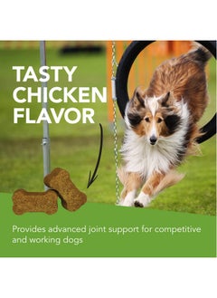 VetriScience Laboratories Glycoflex Sport Hip And Joint Supplement For Dogs  Joint Support Chews With GreenLipped Mussel, Dmg, And Glucosamine For Dogs, Chicken Liver Flavor  - Image 4