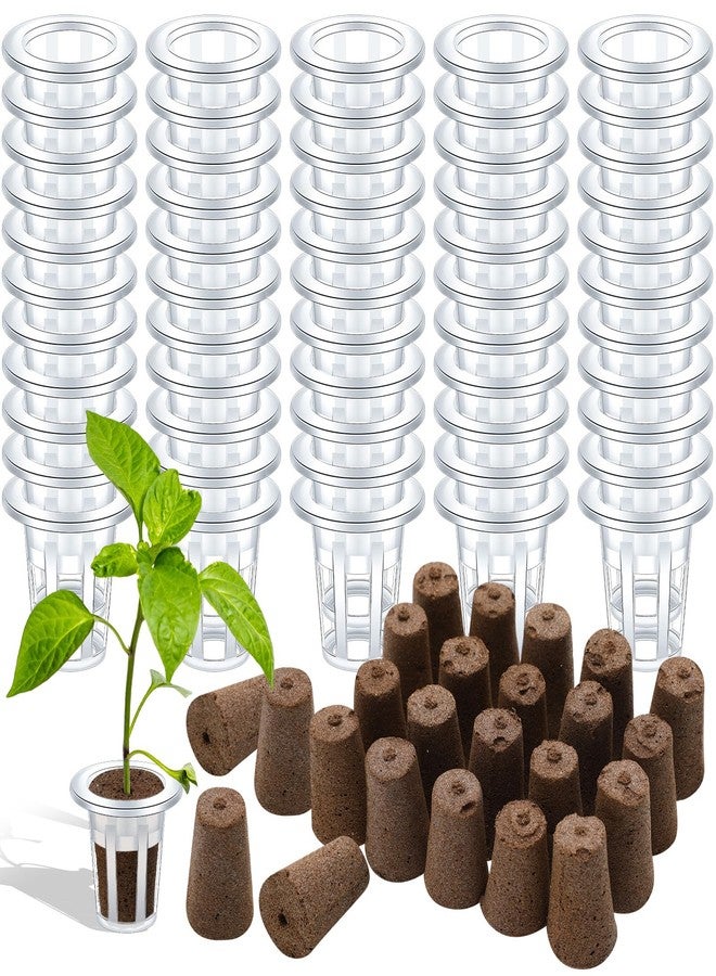 Ziliny 200 Pcs Grow Sponges Pods Kit, Includes 100 Grow Sponges, 100 Root Plant Basket, Root Growing Kit Replacement Pod Cups Hydroponic Pods Garden Accessories for Indoor Herb Growing System - Image 1