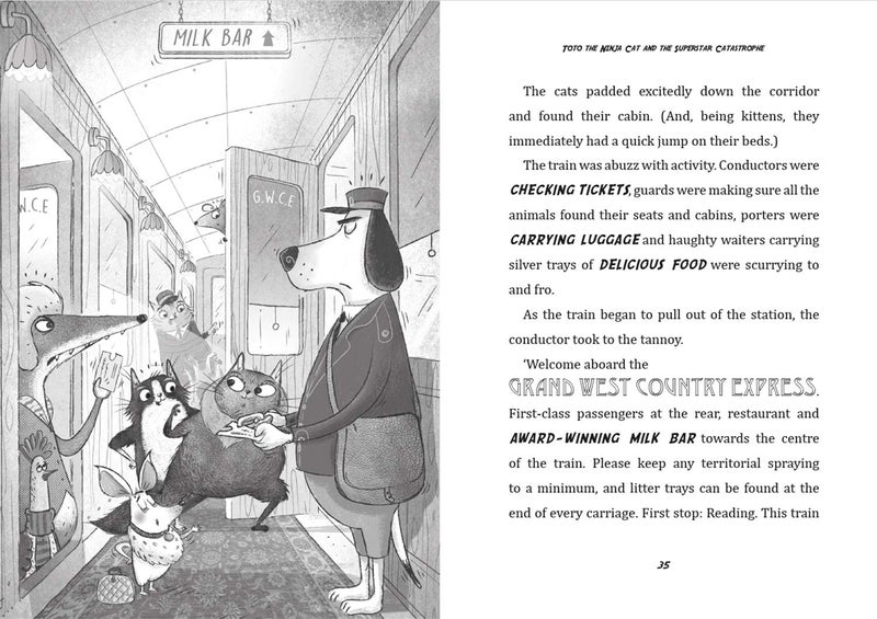 كتب هودر للأطفال توتو القط النينجا وكارثة النجوم: 3 - Image 3