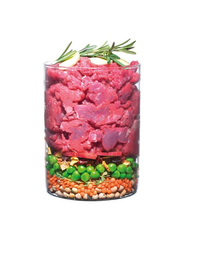 Carnilove True Fresh Beef for Adult Dogs | Grain-Free Dog Food with Peas & Pumpkin - Image 2