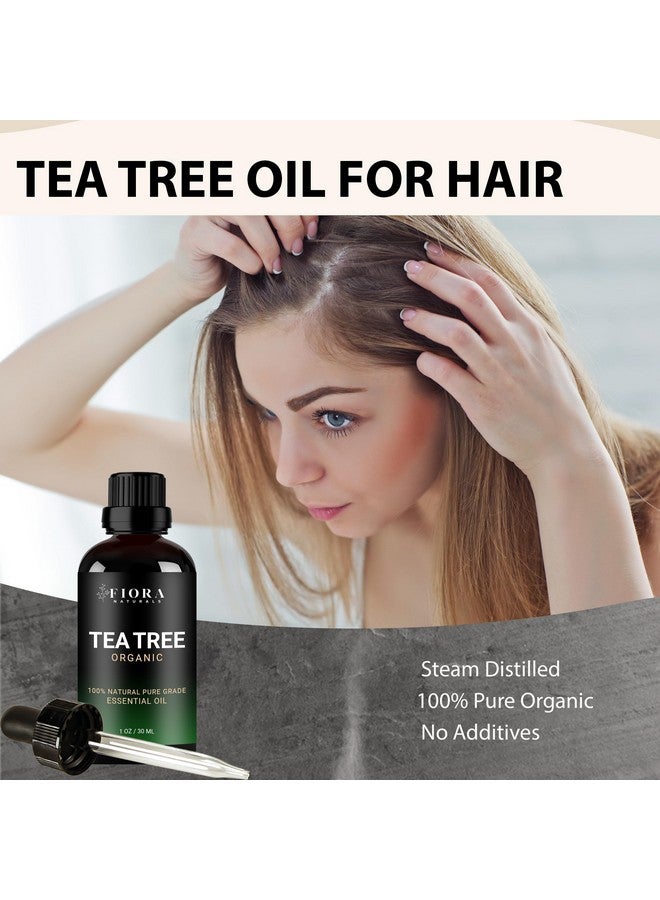 Fiora Naturals Tial Oil By Fiora Naturals- 100% Pure Organic Oil, For Face, Hair, Skin, Acne, Scalp, Foot And Toenails. Melaleuca Alternifolia, 1 Oz /30Ml - Image 2