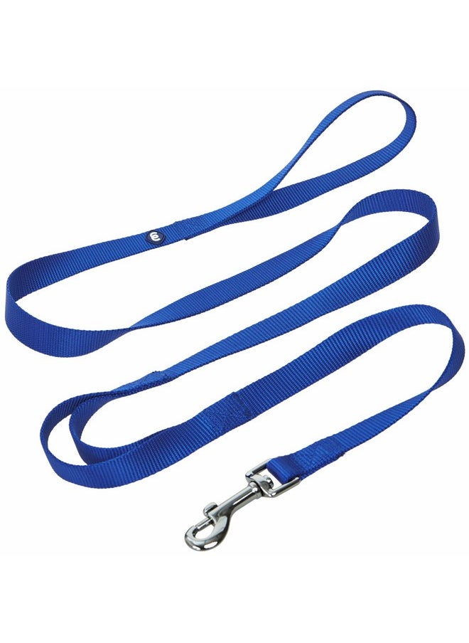 Blueberry Pet Essentials Double Handle Dog Leash for Traffic Control | 5ft. x 3/8" X-Small Dog Leash | Classic Dog Leash with Two Handles for Dogs That Pull | Nylon 2 Handle Dog Leash in Royal Blue - pzsku/ZD308CC92218204D52FA7Z/45/_/1737031763/b012c8f6-5019-412e-aab3-bd33baaecec4