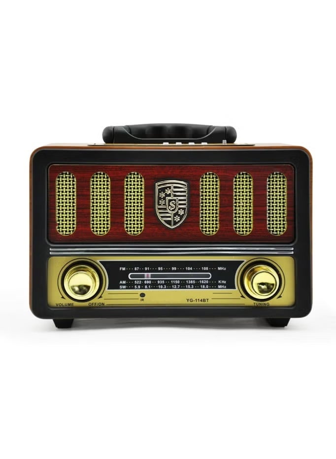 Denx Rechargeable Hi-Fi radio with remote control, large capacity battery, portable, retro-style FM radio, supports Bluetooth, SD card slot, USB, and AUX port. - Image 1