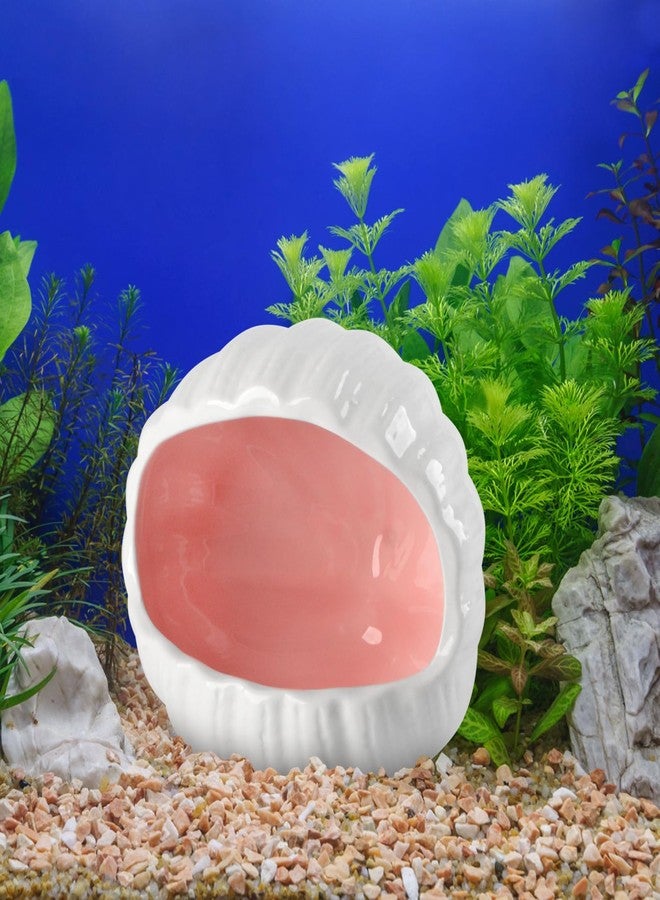 AnRui Cute Ceramic Aquarium Decorations Large Conch Shell-Shaped House Thematic Betta Fish Tank Accessory Decor Ornament Hideout Cave for Fish Playing or Hiding, Pink - Image 5