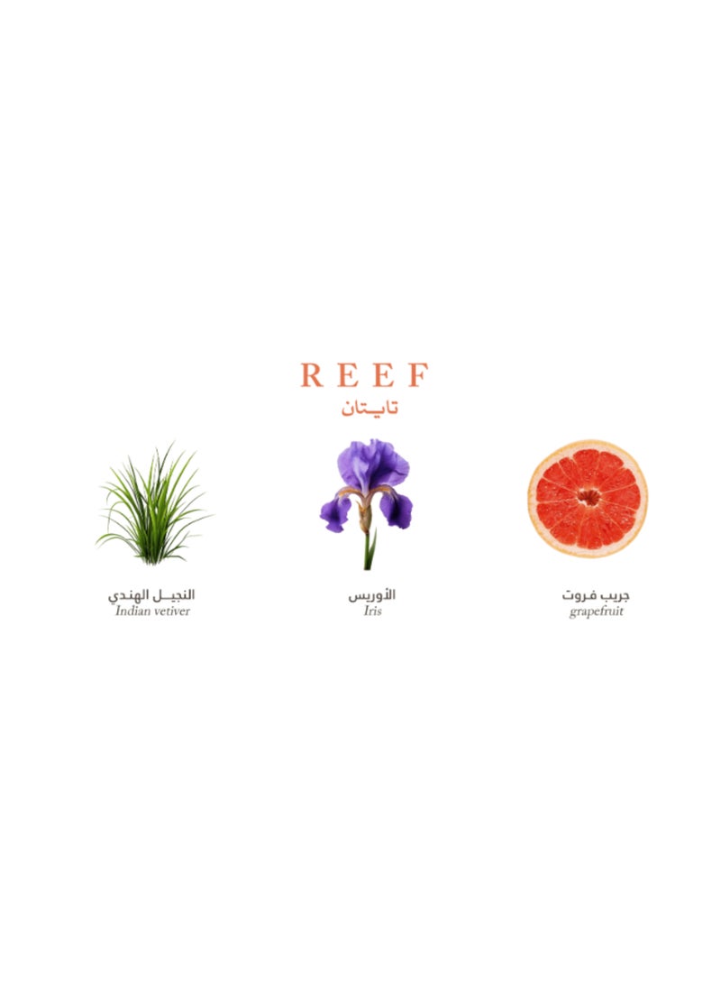 Reef بخاخ الجسم تيتان - 125 مل - Image 3
