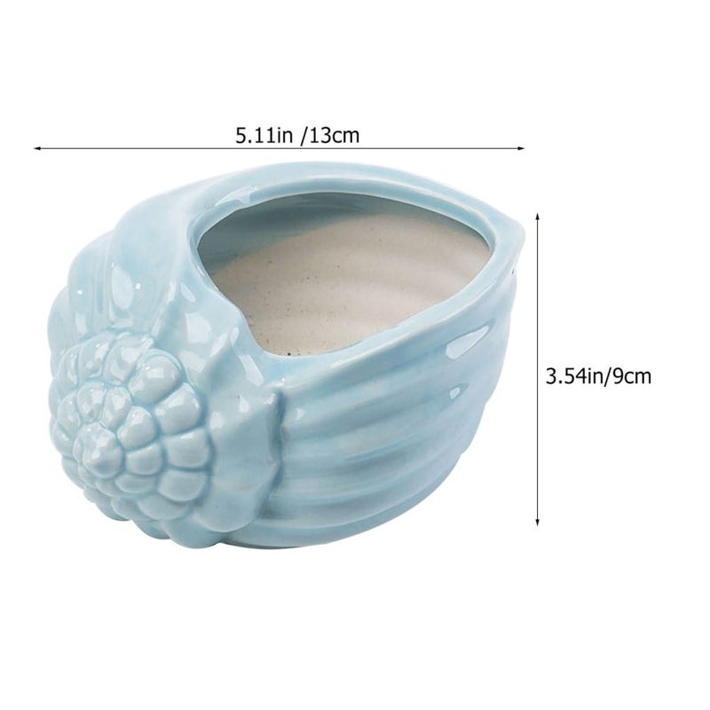 Blue Ceramic Conch Succulent Planter Mediterranean Style Indoor Flower Pot Home Decor - Image 3