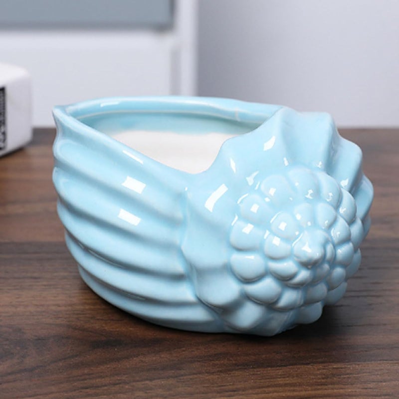 Blue Ceramic Conch Succulent Planter Mediterranean Style Indoor Flower Pot Home Decor - Image 5