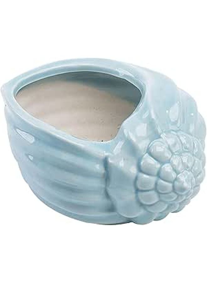 Blue Ceramic Conch Succulent Planter Mediterranean Style Indoor Flower Pot Home Decor - Image 1