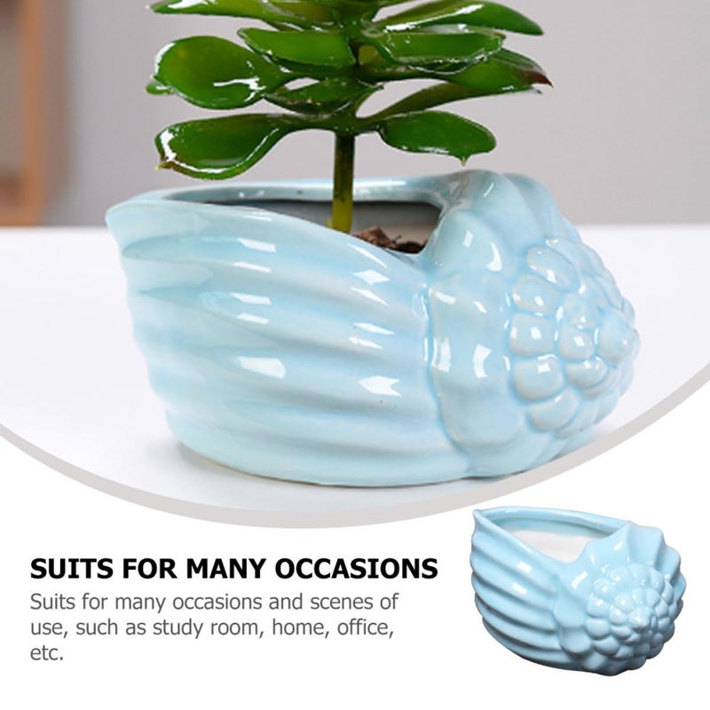 Blue Ceramic Conch Succulent Planter Mediterranean Style Indoor Flower Pot Home Decor - Image 4